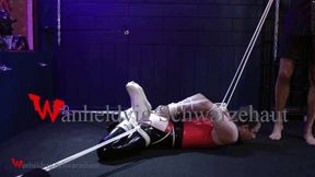 RIKKI HARDCORE PAINFUL BONDAGE and ASS DESTROY FHD 1080p