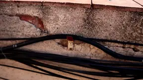 Outdoor couple gives steamy blowjobs and rides his massive dick