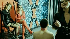 Non stop ballbusting the crucified slave - Zeida, Annabelle, Zara, Nova