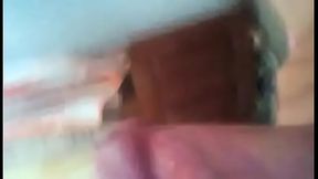 mi amigo charapa me ense&ntilde_a su chala