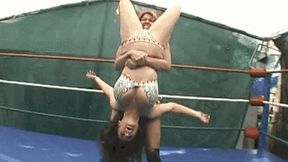 Hard Core PILEDRIVER Clips - Volume 26 (IN HIGH DEFINITION)