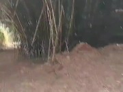 Pissing on my boy's chest and then drinking it