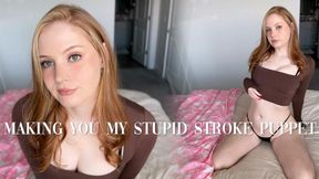 Making You My Stupid Stroke Puppet
