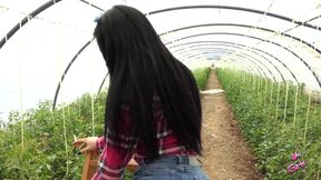 Yasmin, Sexy Tomatoes.