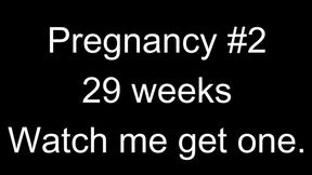29 Weeks Come Join Me