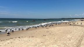 We Travel to the Beach of San Luis