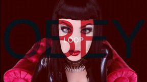 OBEY Loop HD