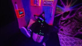 Alleycat fondles off with fresh plaything