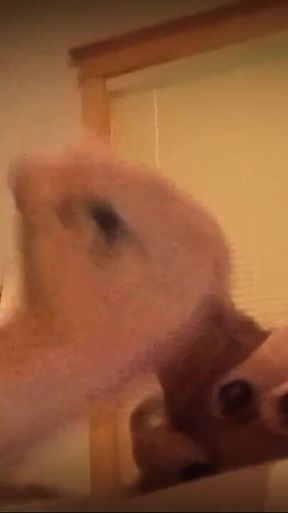 Solo Masturbation