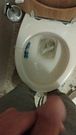 Nice long piss from my mushroom headed cock