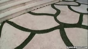 School'_s Out, Ass is In