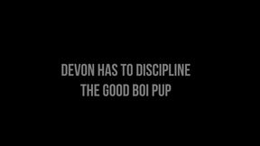 Devon Had to Discipline Good Boi Pup