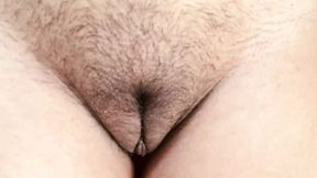 Desi hairy Indian pussy