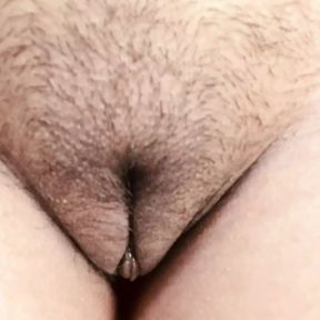 Desi hairy Indian pussy