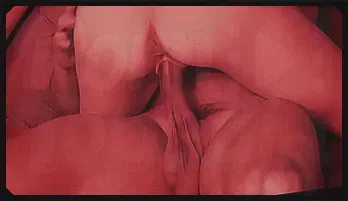 Julian’s Steamy Foursome with Elise’s Stepsisters