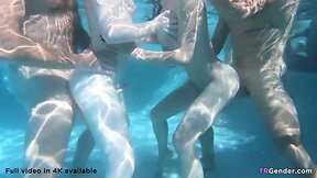 Big trans pool party