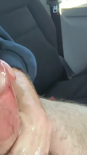Back Seat Wanking   Clip 1