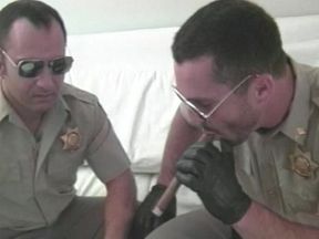 Cops In The Sack