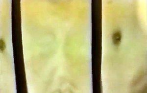Vintage sucking & fucking video