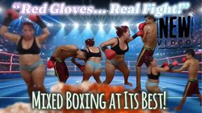CATA “Red Gloves Showdown – Intense Mixed Boxing Battle”