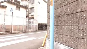 Hot Asian Doll Meisa Hanai Teaches Steamy Sex Education Again