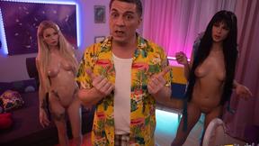 ”Who Was Involved in Steve's Investigation?”