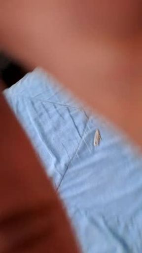 Comiendo verga mulata