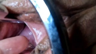 Full trip down the rabbit hole.