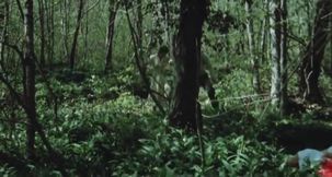 The Amorous Sisters (1980) - English Dub