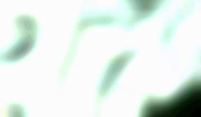 gozada dentro da buceta gostos