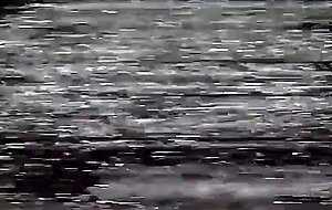 Trans girl gets fucked