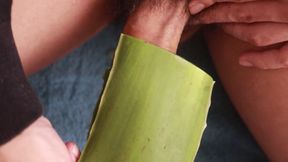 Full Straw Session with Aloe Vera