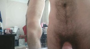 Seedcubay