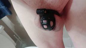 Cock cage shrinkage