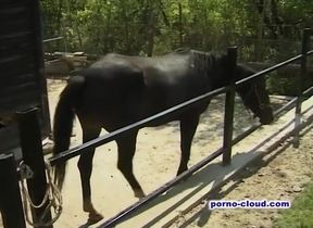 Grannys summer fuck - DVD