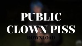 PUBLIC CLOWN PISS