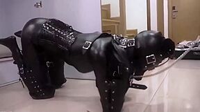 Pet Bondage