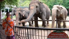 Thai teen tart trysts rough with bf after sunny day out