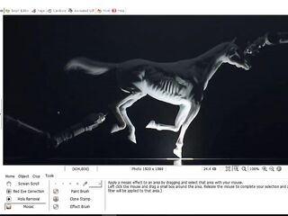 How To Easily Censor Pics Using PhotoScape
