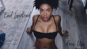 Bad Lanlord