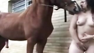 Hot women  lover sex videos