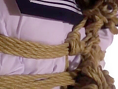 160-season-ending-who-udr