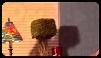 Blazing Passion: Jay and Blaze's Steamy Doggystyle popular videos