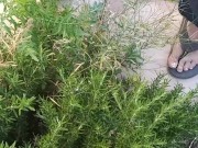 Norwegian Daddy Taking A Long Fat Dick Piss In A Outside Bush In Sandals