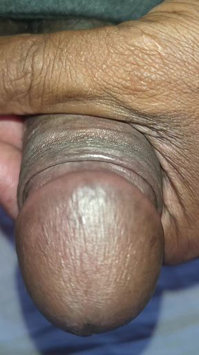 Desi Land