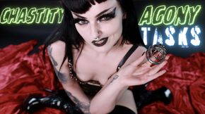 Chastity Agony Tasks