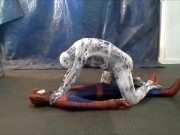 scary horny zentai spider vs spiderman