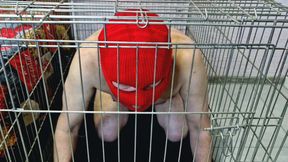 Dominatrix Nika takes sex slave out of cage just to fuck him in the ass