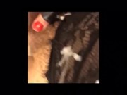 Handcuff jerk off