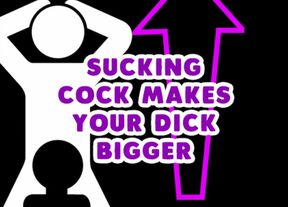 AUDIO ONLY - Sucking dick makes your dick bigger